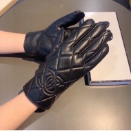 Sheepskin Prismatic Touch Screen Gloves for WOMEN