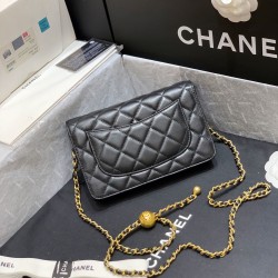 CHANEL WOC Collection