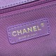 CHANEL BUTTON FLAP BAG Size: 25*16*9CM