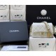 CHANEL FLAP BAG Gold Coin