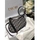 Dior Saddle BAG 