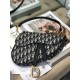 Dior Saddle BAG SIZE: 26*20*7 cm