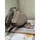 Dior Saddle BAG Size: 25CM / 20CM