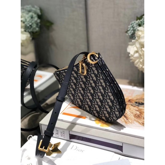 Dior Saddle BAG 