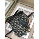 Dior Saddle BAG Size: 20CM