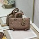 Dior Lady D-Joy Bag Size: 26 x 13.5 x 5cm