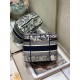 DIOR TRAVEL VANITY CASE Bag Size: 25x15x14CM