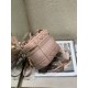 DIOR TRAVEL VANITY CASE Bag Size: 25x15x14cm