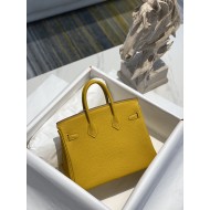 Hermes Birkin 25cm Togo calfskin Full steel hardware Hand-stitched