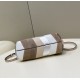 Fendi First Small Leather bag with silver and light brown inlay