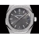 Audemars Piguet  Watches