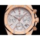 Audemars Piguet  Watches