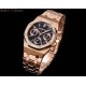 Audemars Piguet  Watches