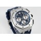 Audemars Piguet  Watches