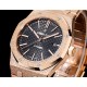 Audemars Piguet  Watches