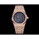 Audemars Piguet  Watches