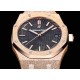 Audemars Piguet  Watches