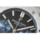 Audemars Piguet  Watches