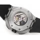 Audemars Piguet  Watches