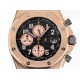 Audemars Piguet  Watches