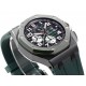 Audemars Piguet  Watches