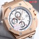 Audemars Piguet  Watches