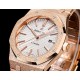 Audemars Piguet  Watches