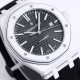 Audemars Piguet  Watches