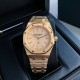 Audemars Piguet  Watches