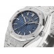 Audemars Piguet  Watches