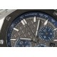 Audemars Piguet  Watches