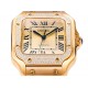 Cartier Watches