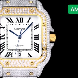 Cartier Watches