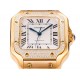 Cartier Watches