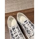 Dior Walkn Embroidered Sneakers