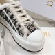 Walk n Dior Platform Sneaker