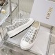 Walk n Dior Platform Sneaker