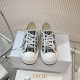 Walk n Dior Platform Sneaker