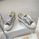 Walk n Dior Platform Sneaker