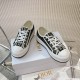 Walk n Dior Platform Sneaker