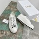 Walk n Dior Platform Sneaker