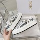 Walk n Dior Platform Sneaker