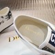 Walk n Dior Platform Sneaker