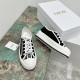 Walk n Dior Platform Sneaker