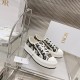 Walk n Dior Platform Sneaker