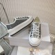 Walk n Dior Platform Sneaker