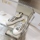 Walk n Dior Platform Sneaker