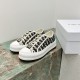 Walk n Dior Platform Sneaker