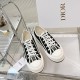 Walk n Dior Platform Sneaker