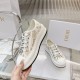 Walk n Dior Platform Sneaker